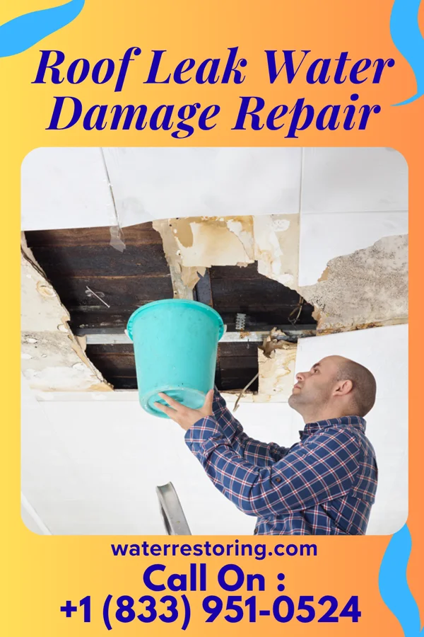 Roof Leak Water Damage Repair in Springdale, UT